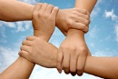 Partnership Opportunities