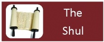 THE SHUL.jpg