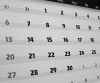  Calendar Campaign